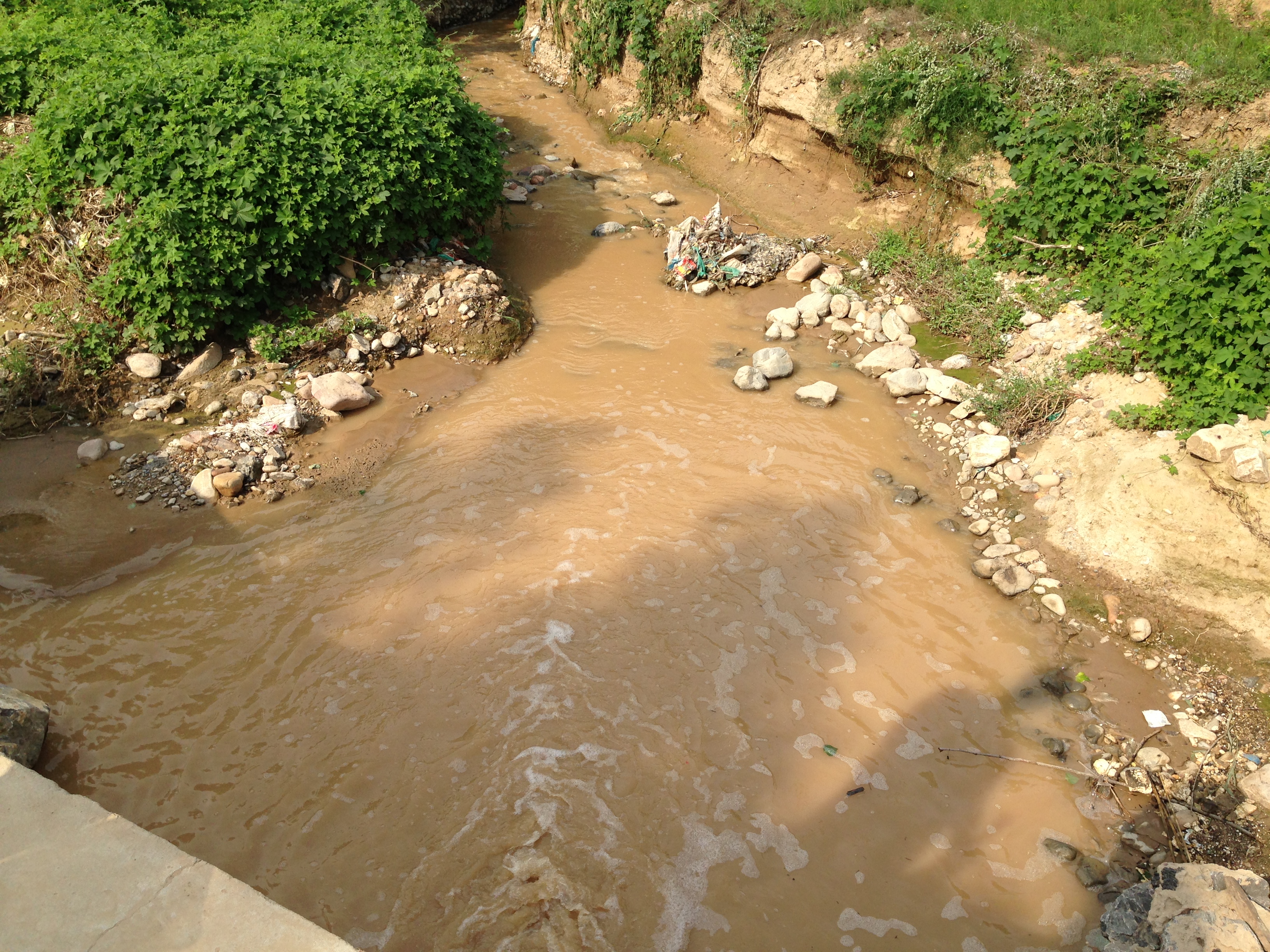 土壤污染治理与修复